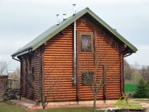 Дом из бревна 