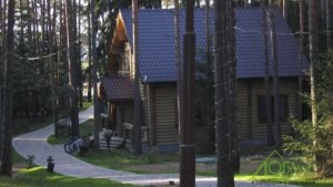Основные виды деревянных домов
