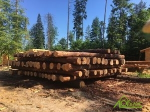 Какие свойства древесины бывают